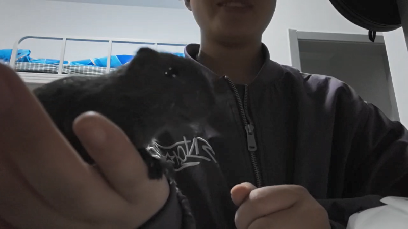 根据太原一位顾客的反馈，她在易客萌宠店购买的一只已完成25天黄金驯化期且尚未开奶的小松鼠，表现出了极高的品质，不仅非常活泼，而且与人亲近。-易客萌宠官网