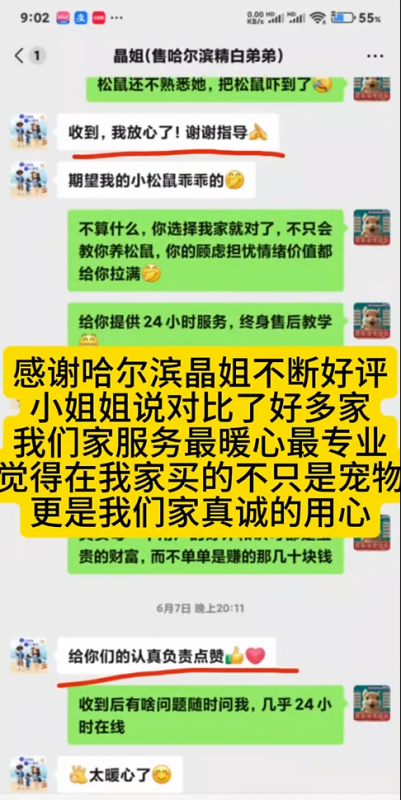 哈尔滨晶姐好评持续不断。晶姐说我家服务最暖心！！-易客萌宠官网