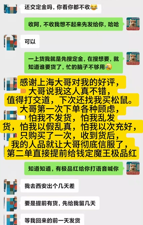 上海大哥购买多只魔王，对我家高品质和专业及服务高度认可，说我值得打交道！！！-易客萌宠官网