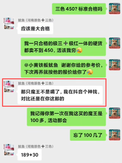 河南鱿鱼哥，全网对比价格品质服务售后，最后找我家下单！！！-易客萌宠官网