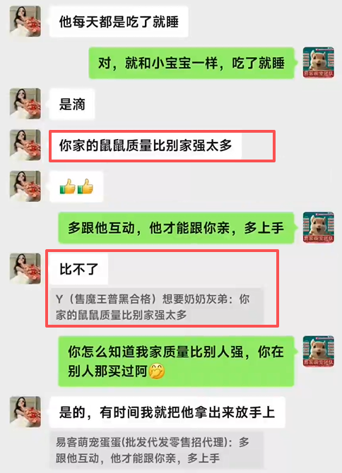 长沙小姐姐好评，你家的鼠鼠质量比别家强太多，在别人家买过，品质根本比不了！！-易客萌宠官网