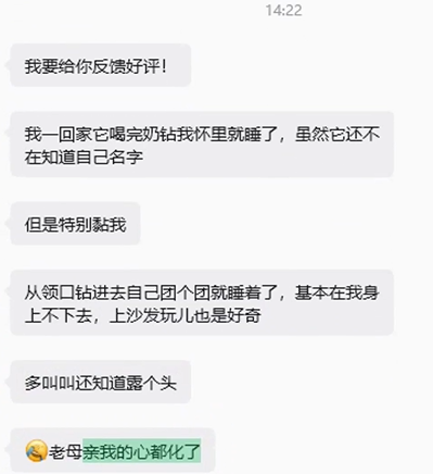 感谢北京小姐姐对易客萌宠加高品质稀有黄山络绎不绝的好评。-易客萌宠官网