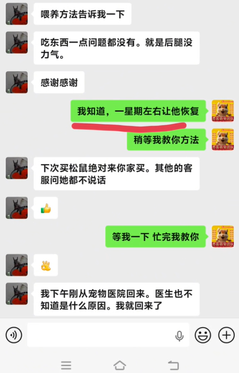 做异宠这么久，一直坚信买卖只是缘分，生命不分客源。 客户这只魔王松鼠并非在本店入手，后腿无力跑遍宠物医院都查不出病因，心急到请假半天就诊。 找到我家全程免费耐心拆解病因、一步步投喂调理方案，仅仅一周小家伙恢复活力，又蹦蹦跳跳。 秉持尽职尽责的初心，每日一善，只要是养鼠遇到难处，需要急救的，能帮一定全力帮，专业从来不止局限自家客户。-易客萌宠官网