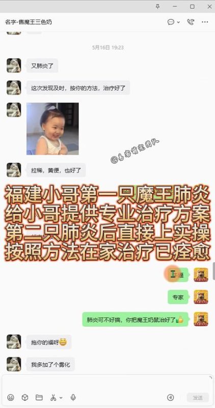 福建小哥家魔王松鼠两次爆发肺炎，第一只肺炎，我们给到完整专业治疗方案；第二只复发肺炎，直接同步全套居家实操流程，搭配雾化辅助调理。小家伙不仅肺炎彻底痊愈，连带伴随的拉稀、黄便问题也全部恢复正常。松鼠肺炎属于高危急症，很多宠物医院没有成熟异宠诊疗经验。我们常年积累上千例松鼠养护急救经验，不管是初次发病还是反复复发，易客萌宠都会一对一给出可落地的实操方案，全程跟进指导。靠谱不只是售前一句承诺，是小动物生病时，能给到切实能救命的专业办法。-易客萌宠官网