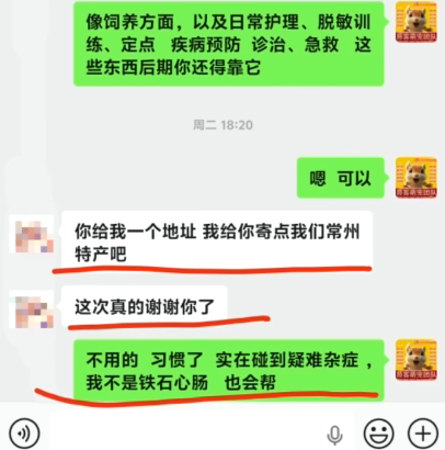 江苏小姐姐的魔王松鼠,50多天持续绿便,拖了半个月治不好,状态极差,日渐消瘦,病情拖到十分危重,岌岌可危,小姐姐非常焦急,愿意支付费用找我家提供教学急救,日行一善,只为挽救小生命,免费提供远程急救。-易客萌宠官网